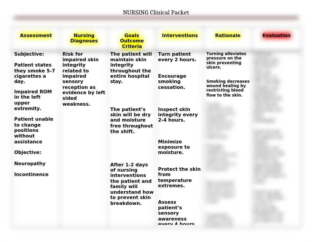 Skin integrity care plan.docx_drwm6thgea7_page1