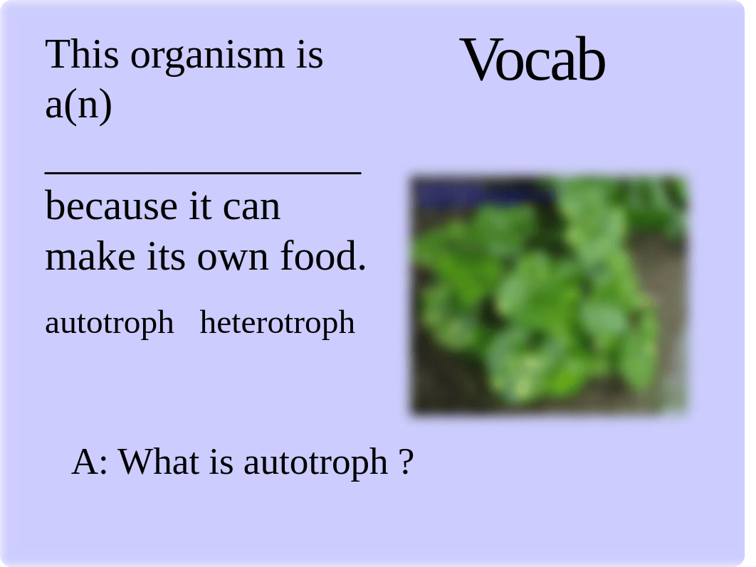 Bio 102 Lecture -Mid term Exam - Review II.ppt_drwmacc3yc9_page3