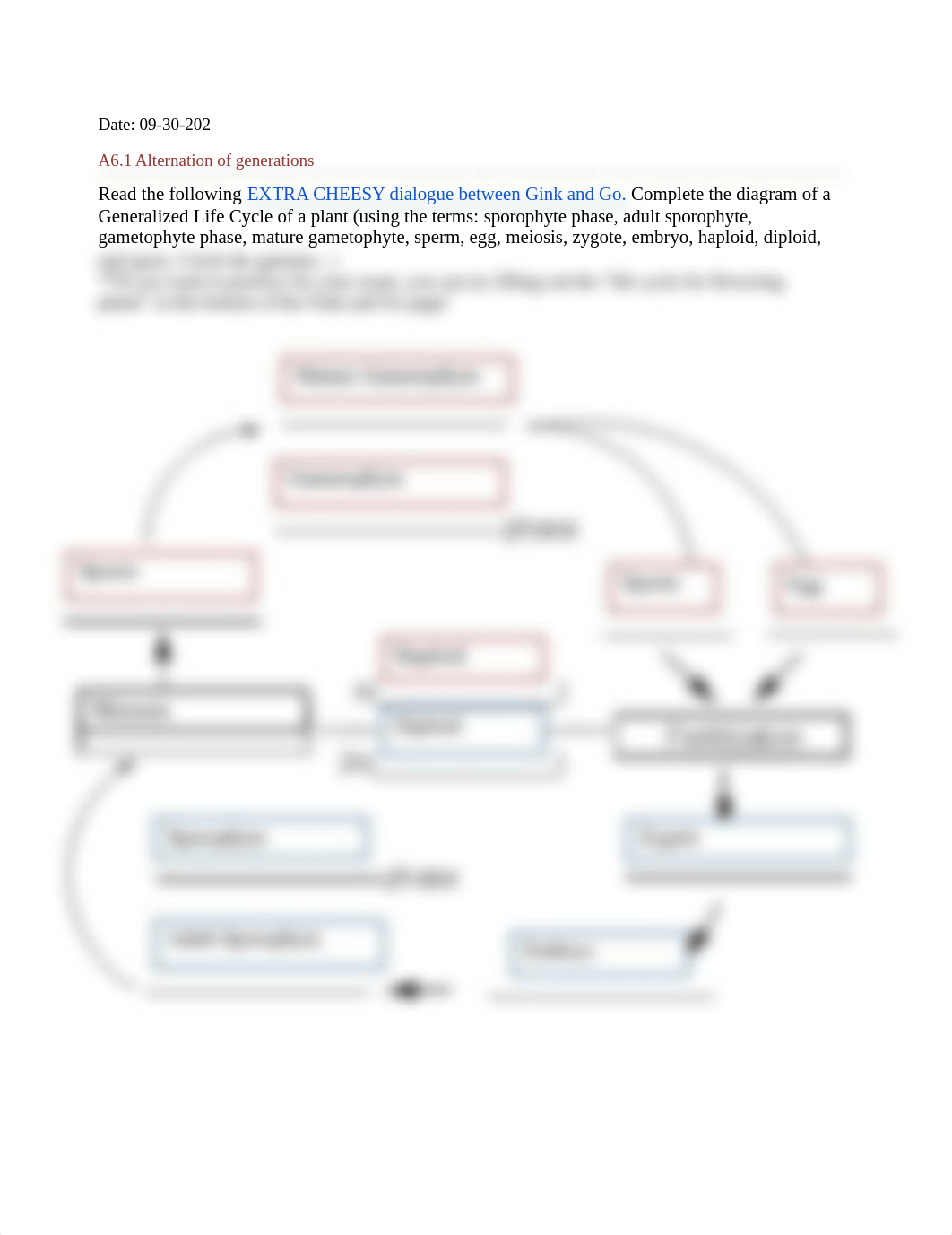 A6.1 - alternation of generations.docx_drwmohffjvv_page1