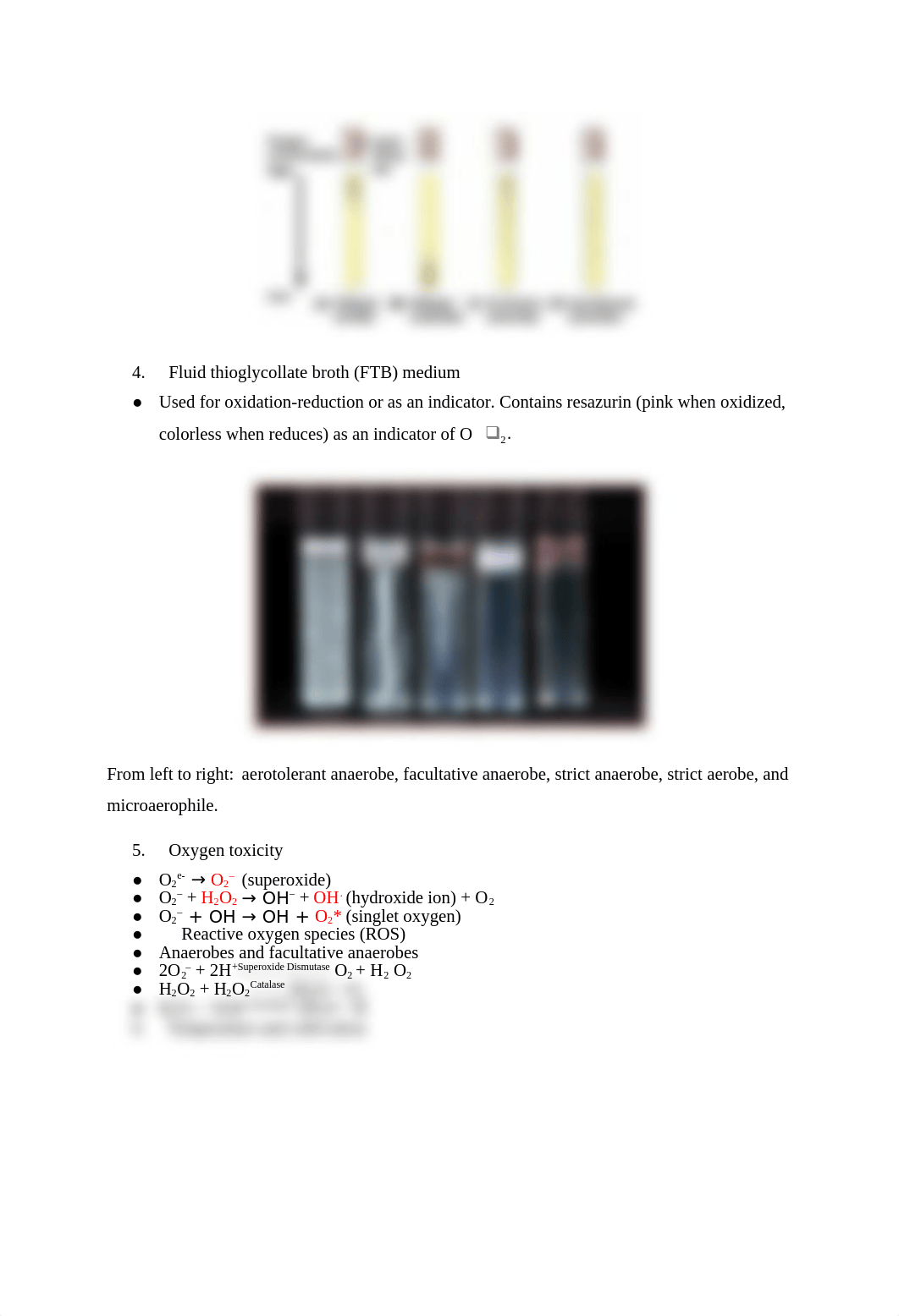 Lab Quiz 2 Study Guide.docx_drwo84ef6be_page2