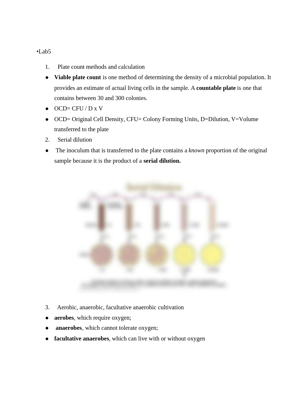 Lab Quiz 2 Study Guide.docx_drwo84ef6be_page1