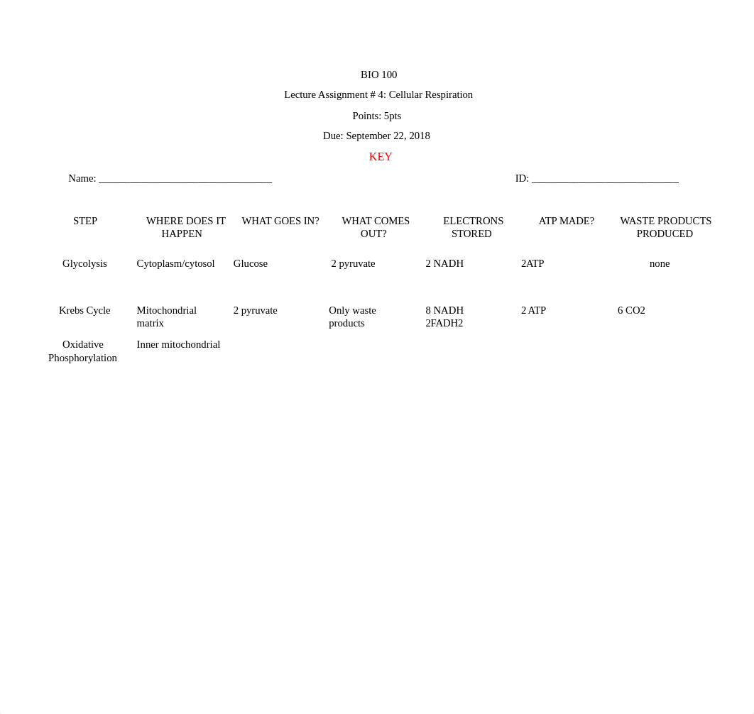 Lecture Assign 4 cellular respiration KEY.docx_drx3lf8rs5r_page1