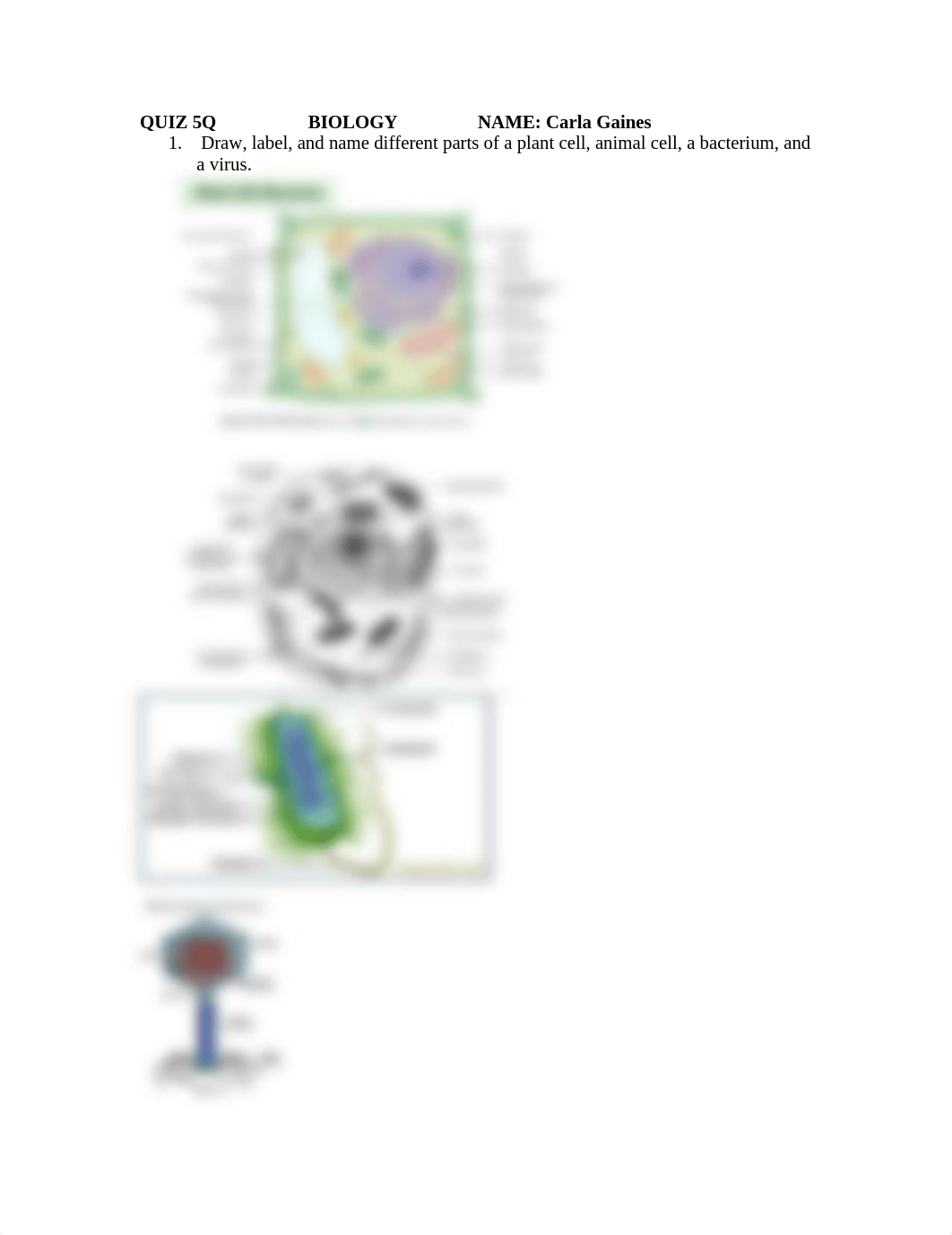 QUIZ 5Q  BIOLOGY  Carla Gaines.docx_drx5msm2hq3_page1