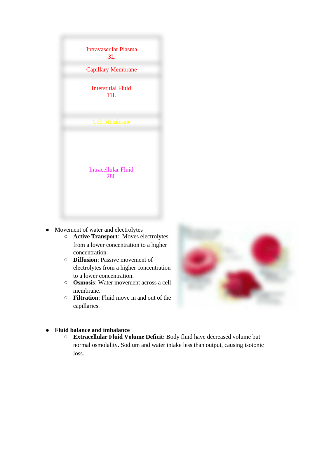 FundamentalsExam2StudyGuide_drx7lpjyzn6_page2