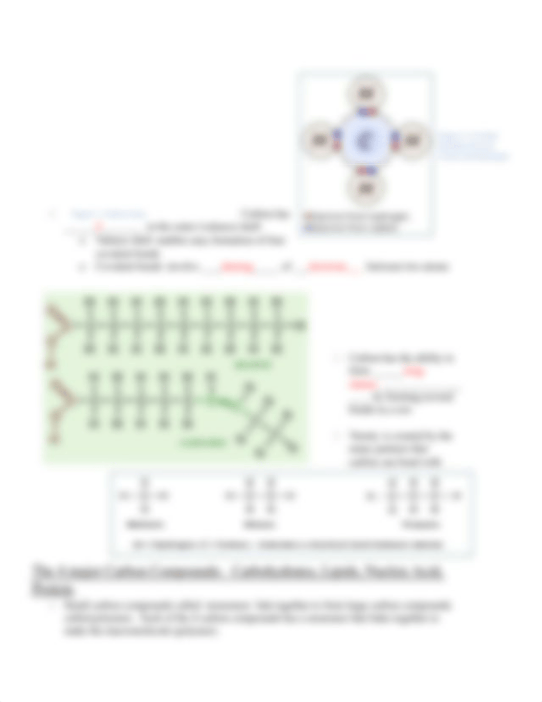 Chemical Basis of Life packet 2-1.answer.key.doc_drx7yzlkdgb_page3