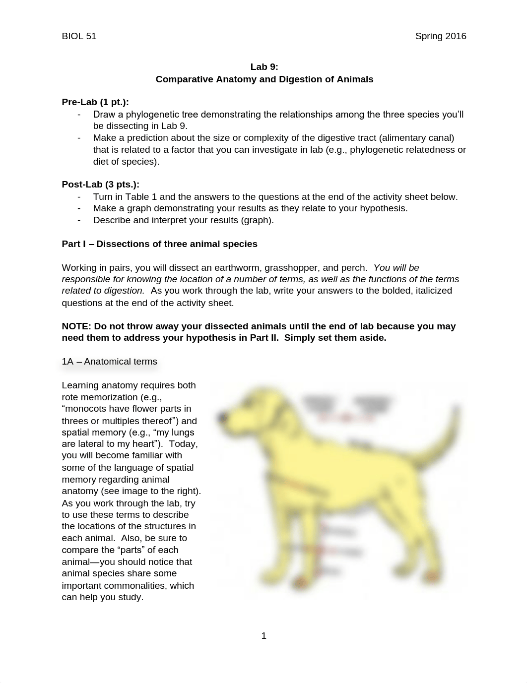 Lab 9 Comparative Anatomy and Digestion_drxa0e95swu_page1