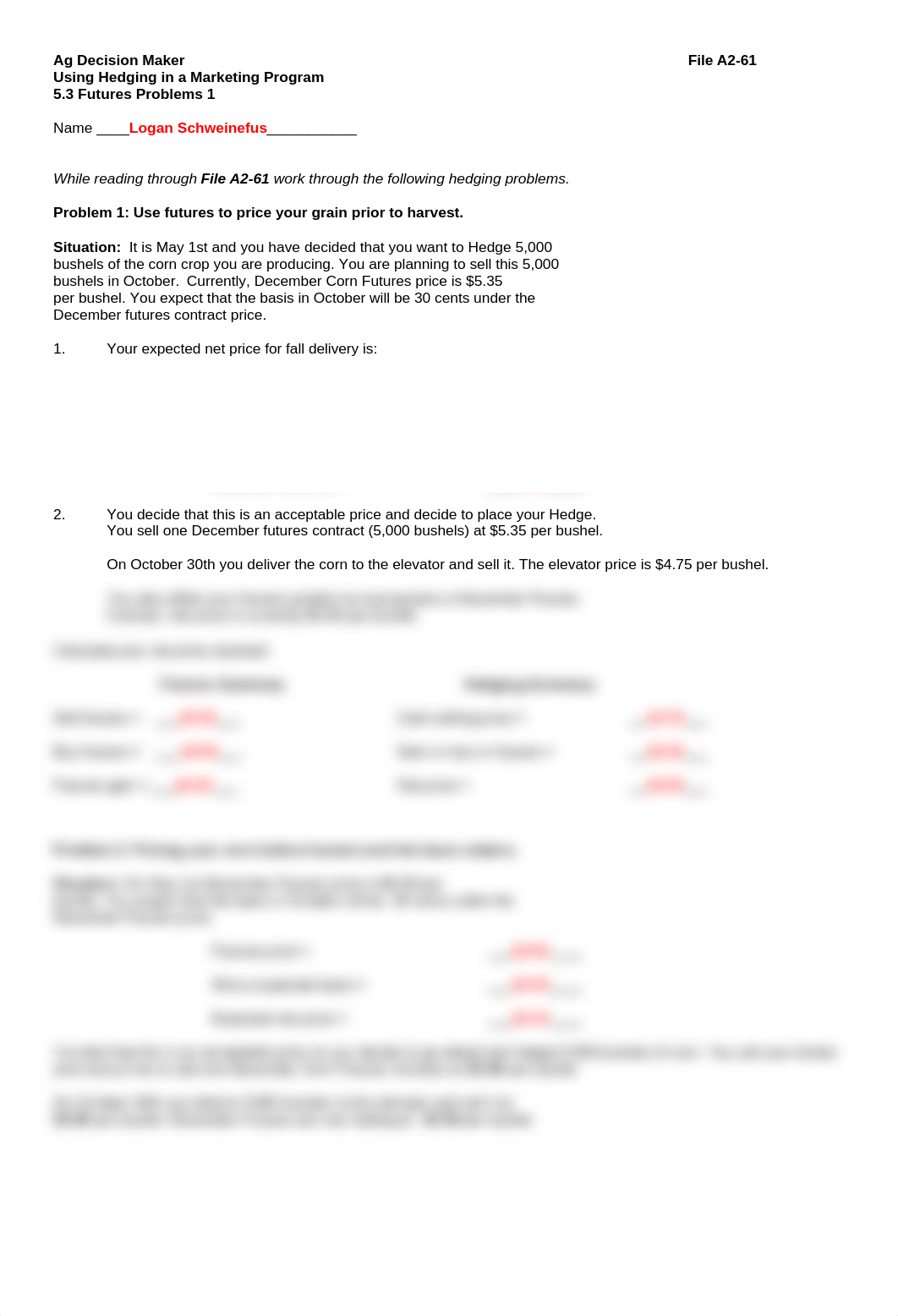 Ag Markets 5.3 ASSIGNMENT hedging problems 1.doc_drxbgq8rpdt_page1