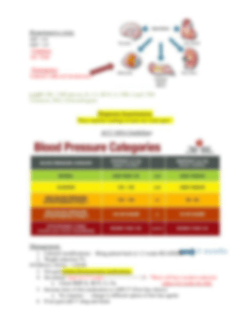 Hypertension Cheat Sheet.docx_drxfwyvhi9q_page3