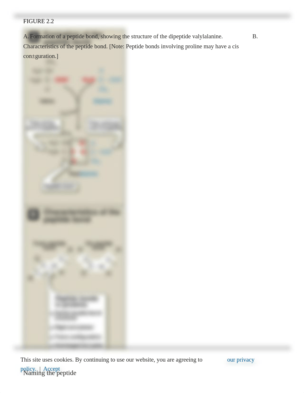 Lippincott Biochemistry Chp 2.pdf_drxknv6ttq5_page4