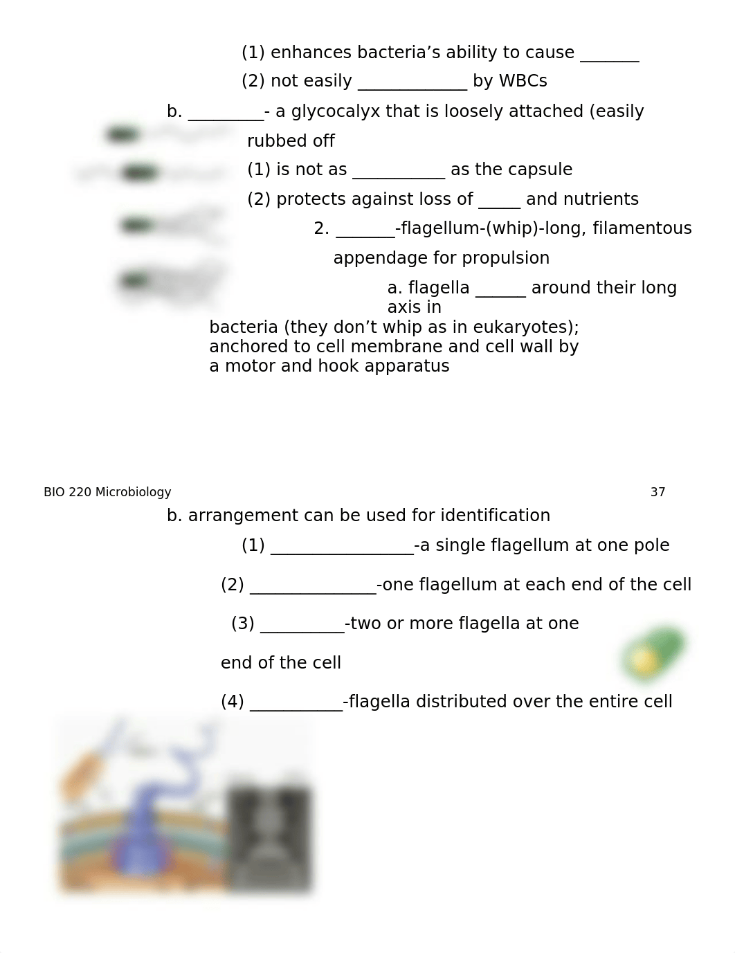 BIO 220 Exam Two Student Notes - part 1.doc_drxm9xke9zk_page3