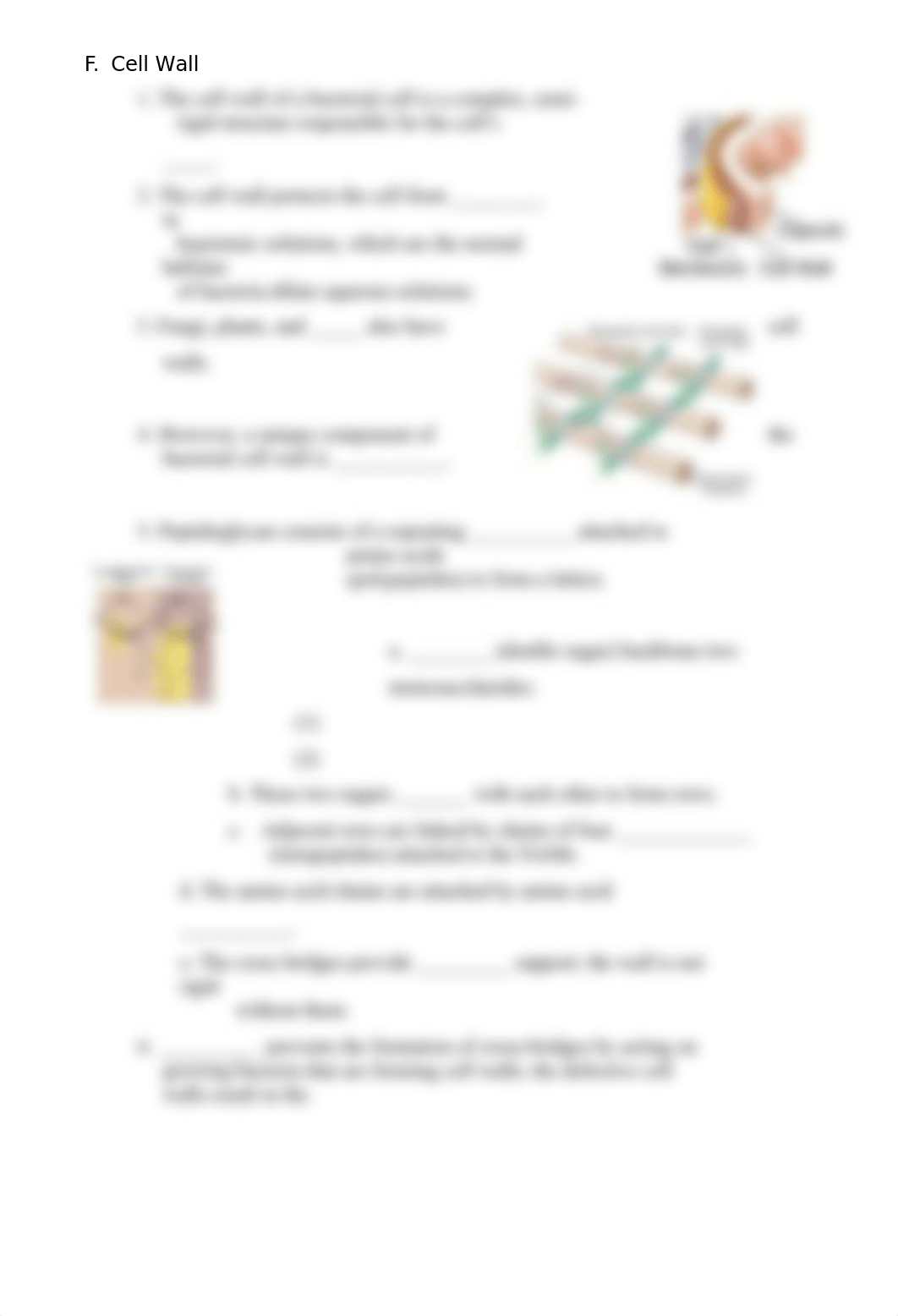 BIO 220 Exam Two Student Notes - part 1.doc_drxm9xke9zk_page5