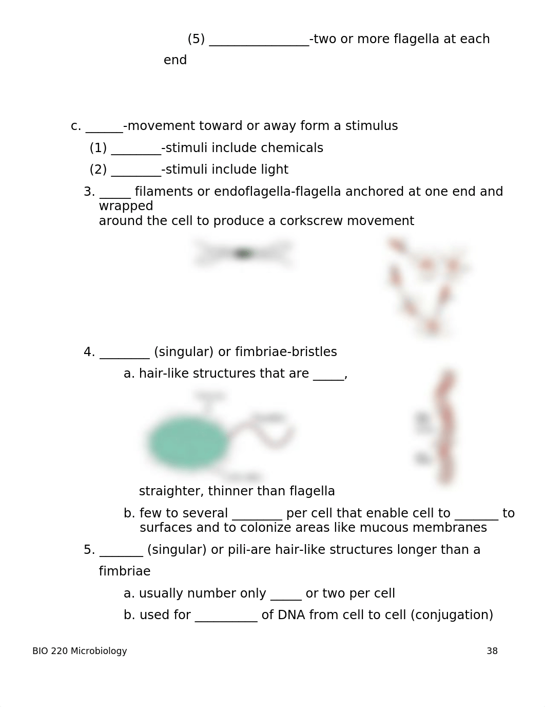 BIO 220 Exam Two Student Notes - part 1.doc_drxm9xke9zk_page4