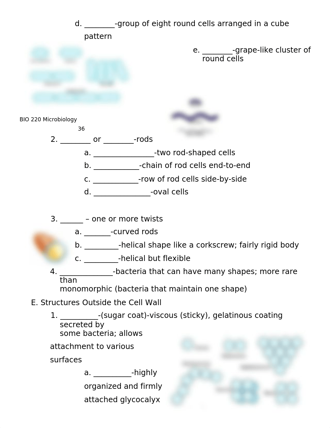 BIO 220 Exam Two Student Notes - part 1.doc_drxm9xke9zk_page2