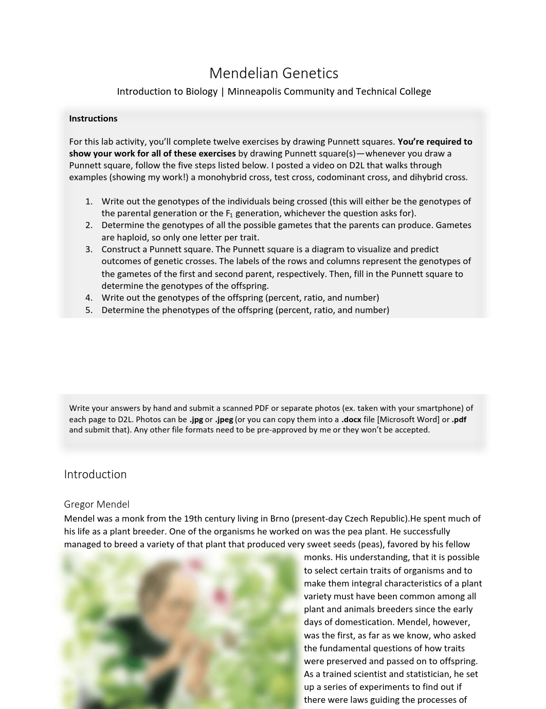 lab-2 Mendelian Genetics.pdf_drxqqsn1lj6_page1