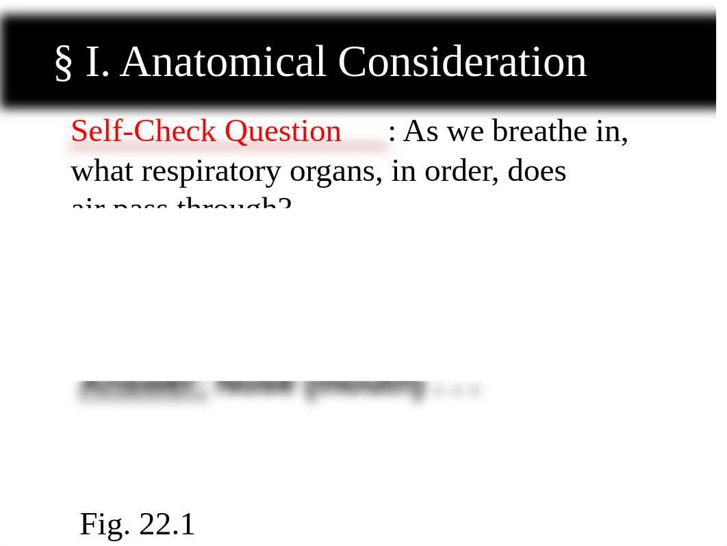 Ch22-Respiratory-System.ppt_drxrkx3qpvw_page5