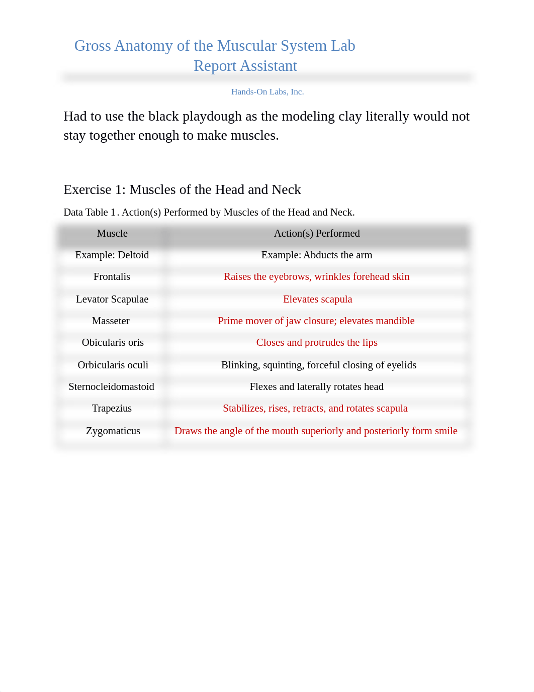 eric. burns Lab Report 8 -Gross Anatomy of the Muscular System.docx_drxtp2z630c_page1