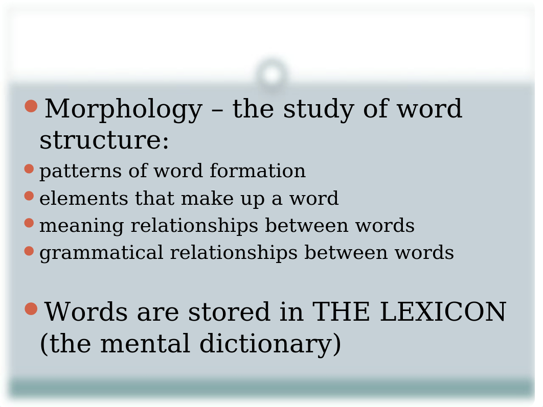 Morphology powerpoint(1)-1_drxvkoqbeqc_page2