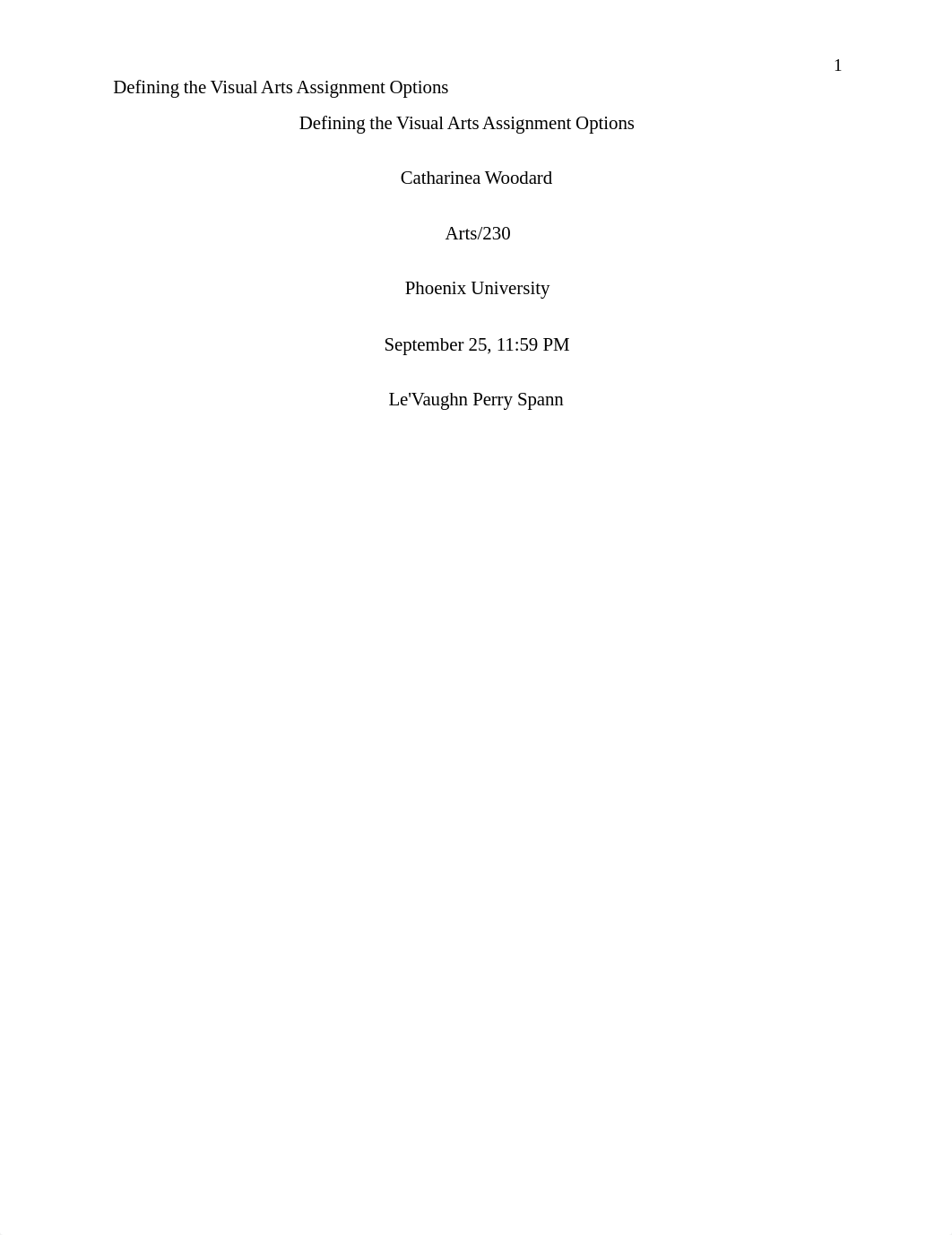 Defining the Visual Arts Assignment Options.docx_dry2bu0f1lq_page1