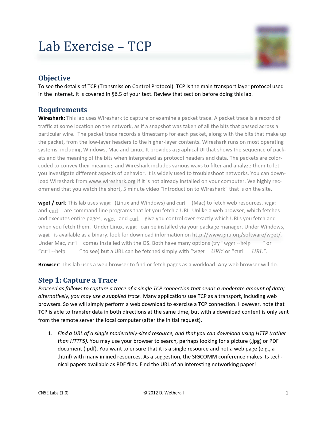 lab-tcp.pdf_dry4ni8yc18_page1