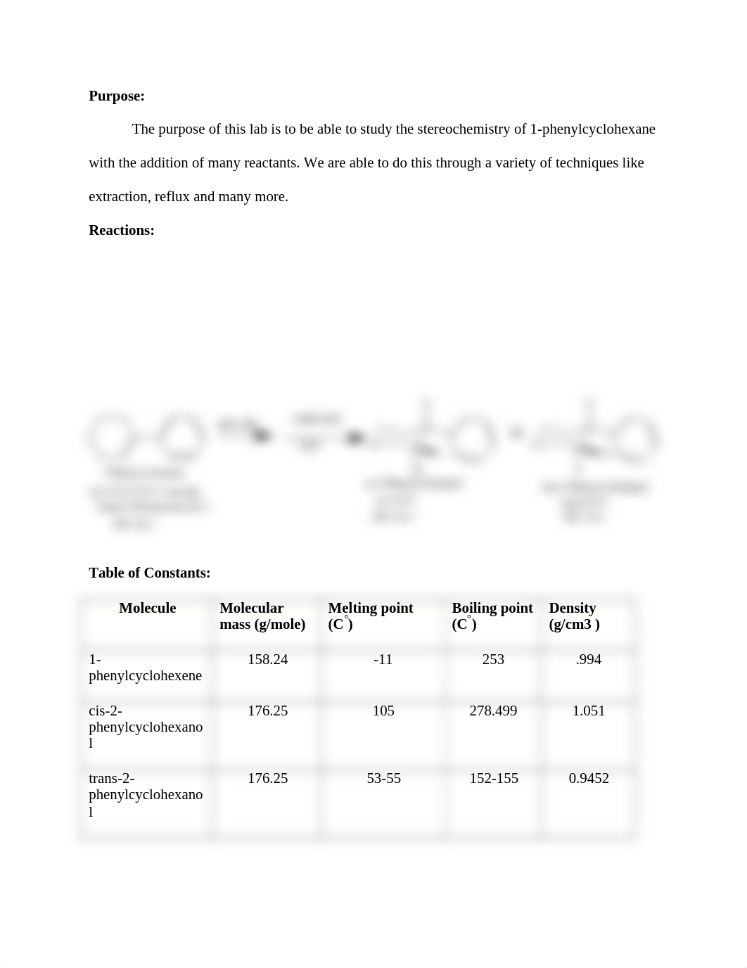 Lab Report- 1.docx_dry8je3lwxr_page2