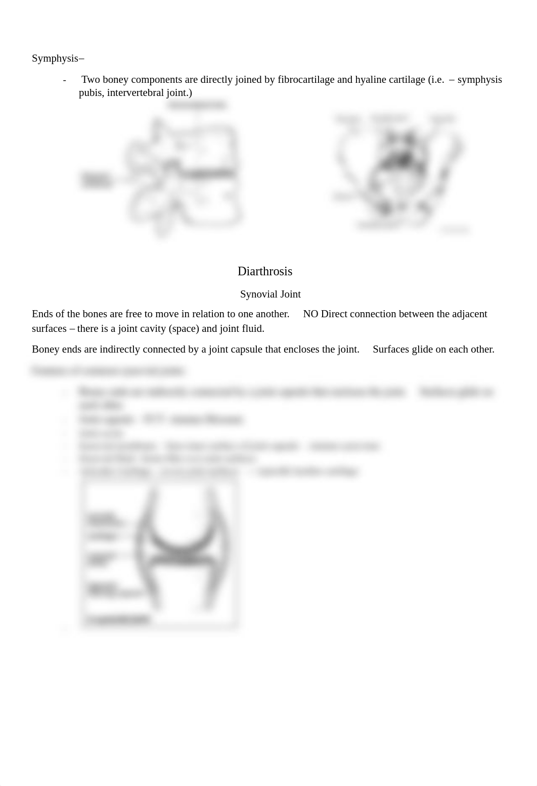 DAA Joints and Muscle Coloring Book.pdf_drya5g3ilzj_page4