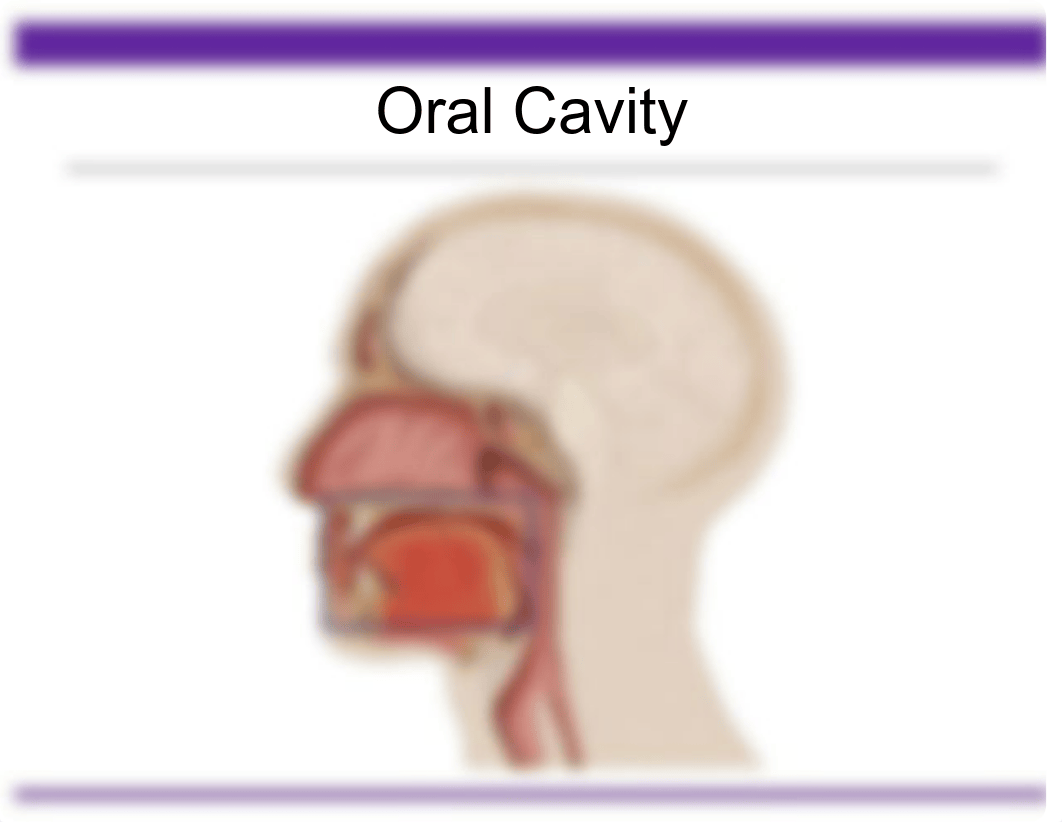 cd_641_week_1_lectures.pdf_drydlvk3rd5_page3