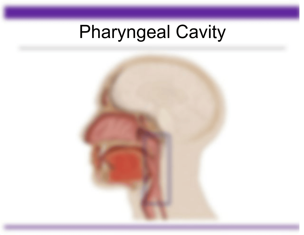 cd_641_week_1_lectures.pdf_drydlvk3rd5_page4