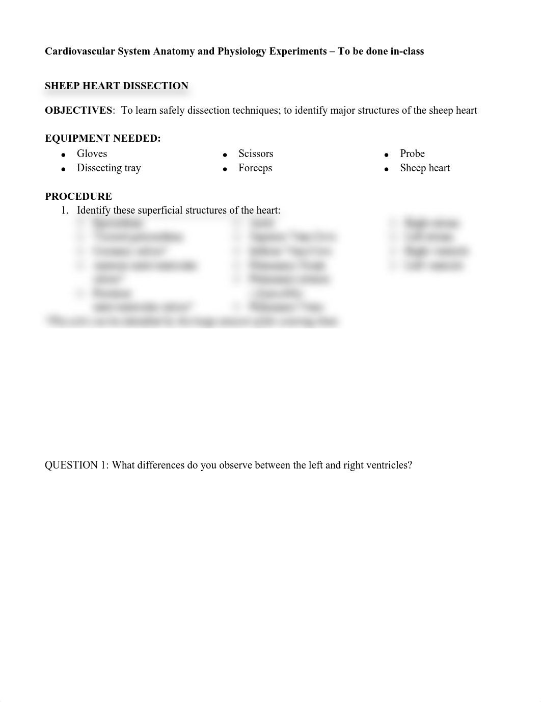 Cardiovascular System Worksheet.pdf_drygpo3wini_page1