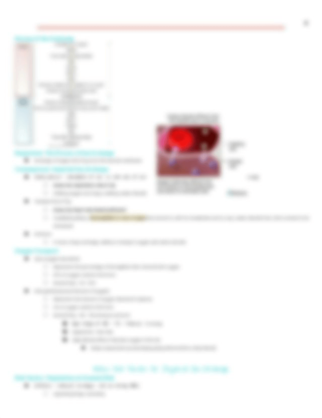 N380 Exam 4 - Gas Exchange_dryiauxug4c_page4