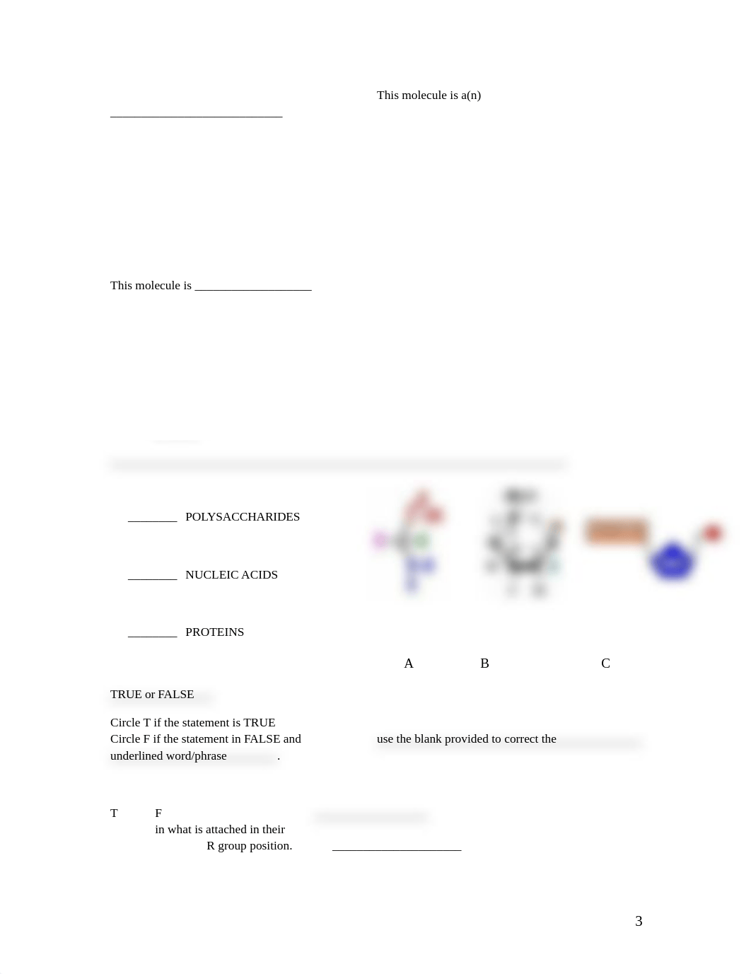 Study Guide-AP Biology.docx_dryjldlvddt_page3