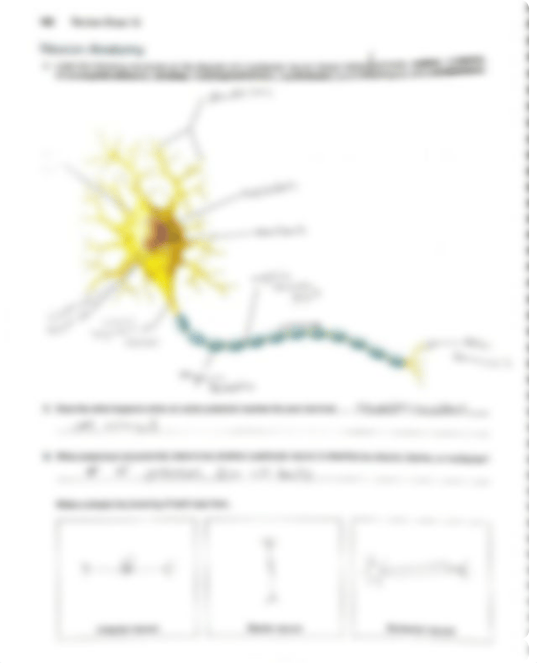 lab review sheets 13.pdf_dryottduyxs_page2