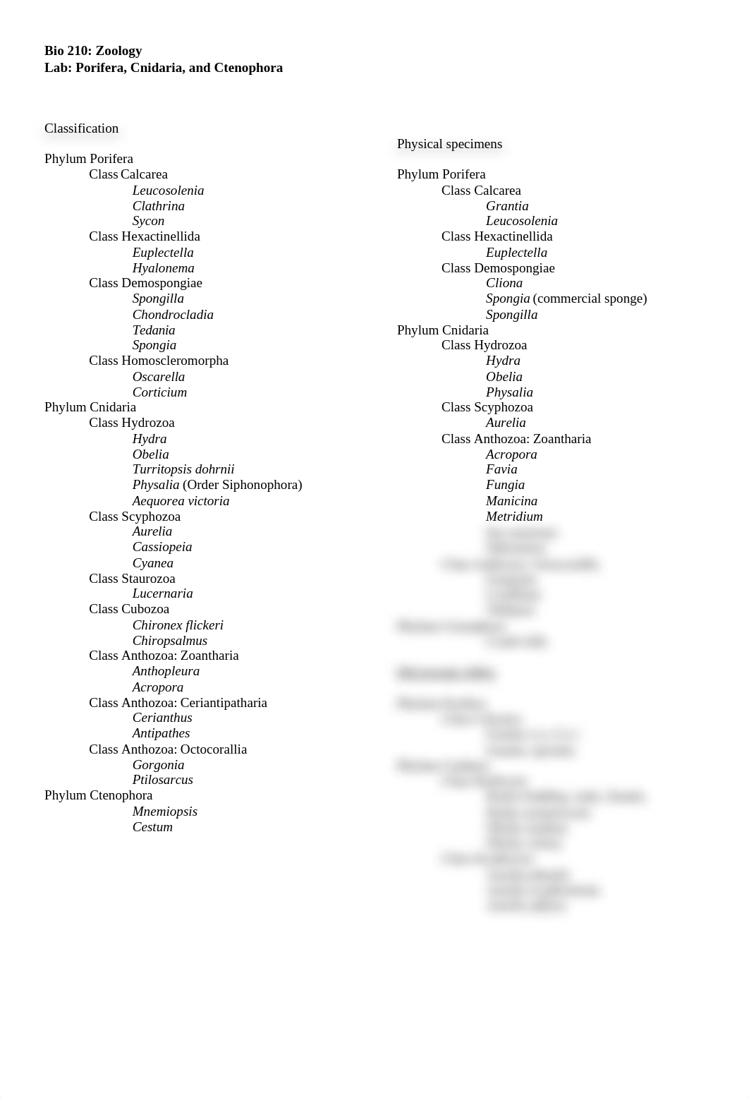 Porifera Cnidaria Lab.docx_drytpebzv50_page1