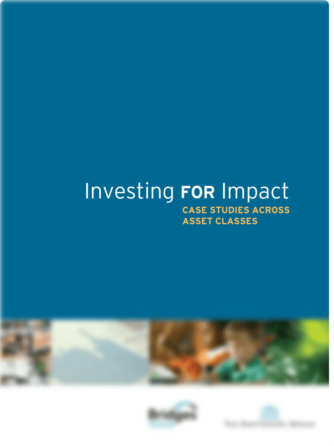 8. Investing for Impact Report.pdf_dryvwfb1yml_page1