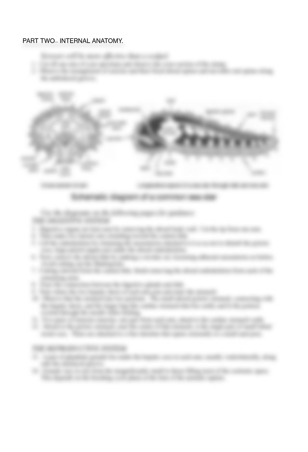 starfish_dissection_guide.pdf_drz5lyvgfzf_page2