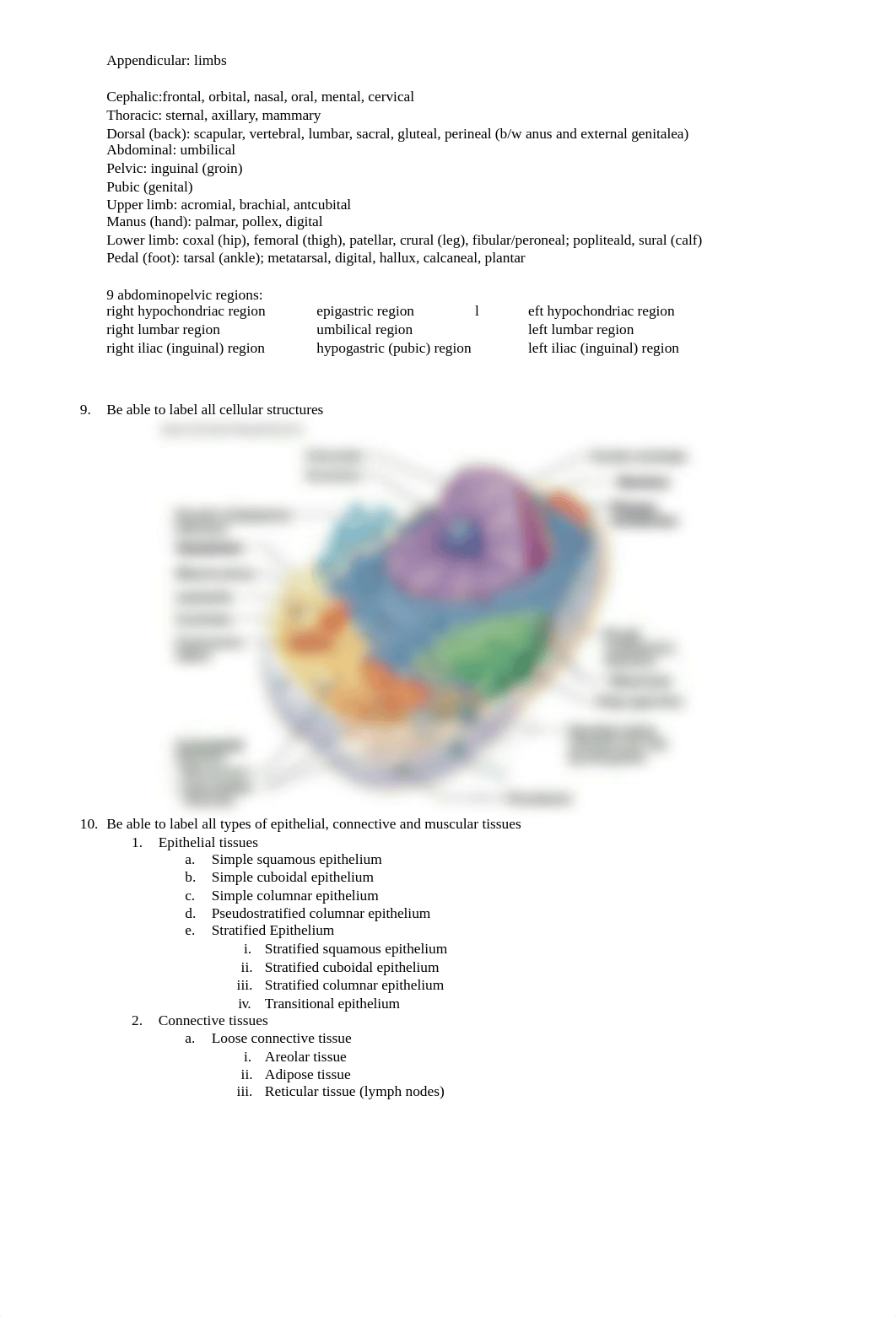 BIO231.E1.Study Guide.docx_drz5qrk7sm0_page2