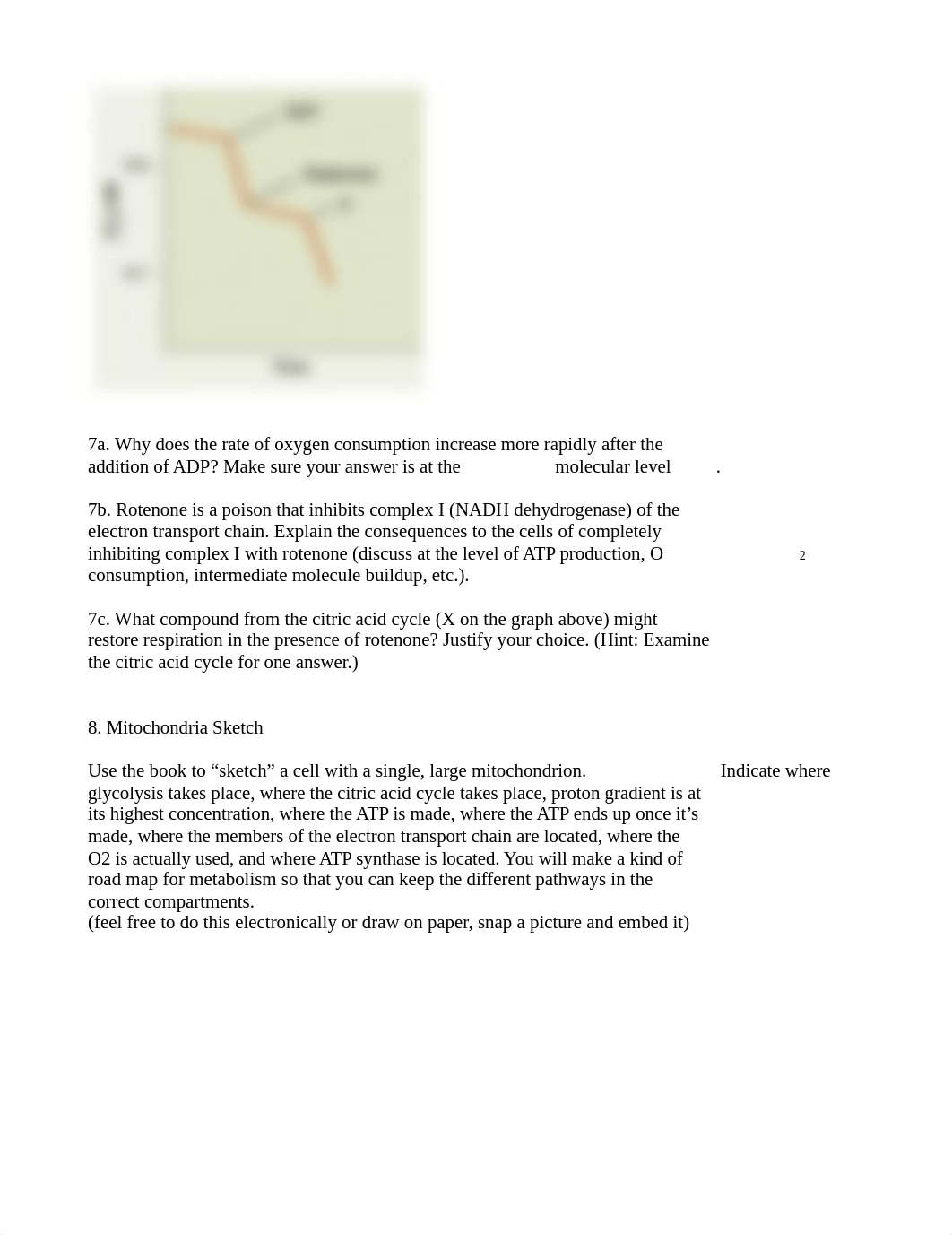 Mitochondria F17.docx_drz7vzwzdhz_page2