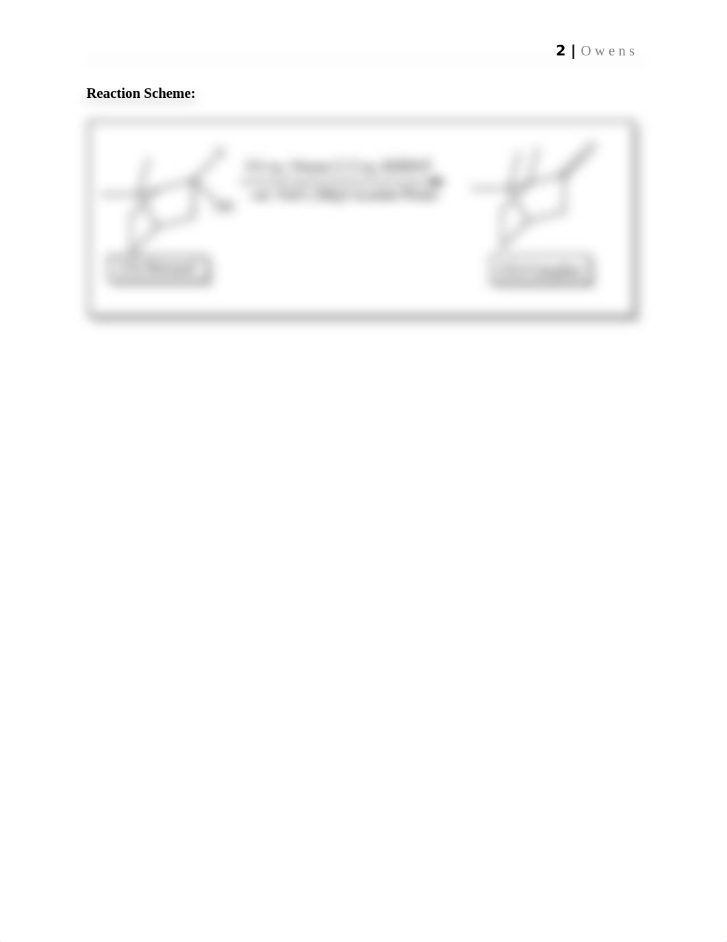 Green Oxidation of Borneol to Camphor with Oxone.docx_drzcfofkyjp_page2