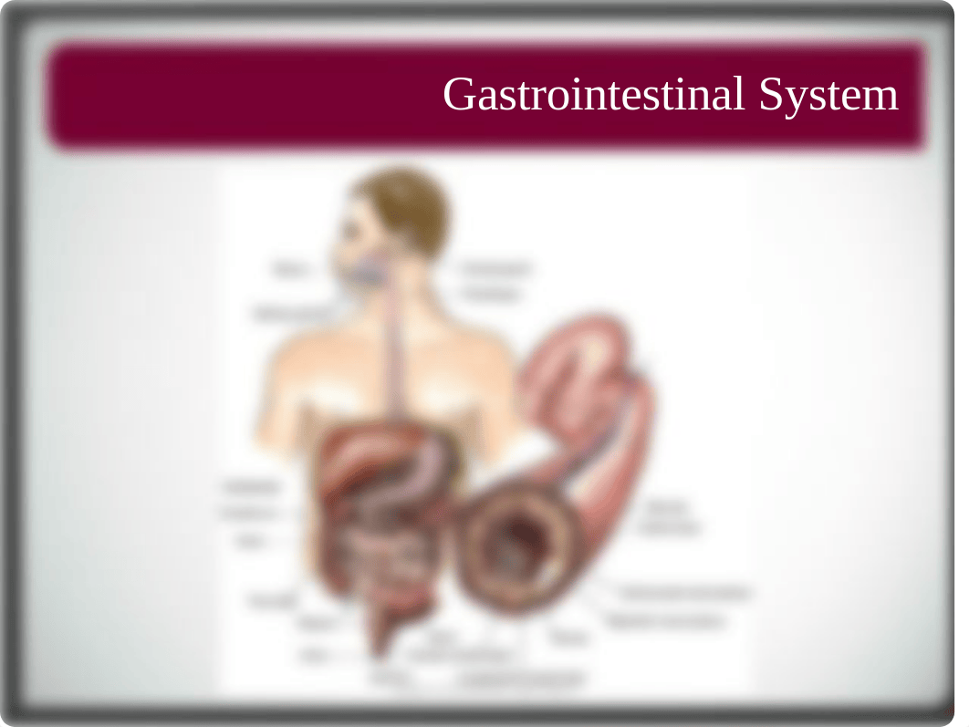 2.0 Assessment_of_the_Gastrointestinal_System_drzgr4rn1yf_page2