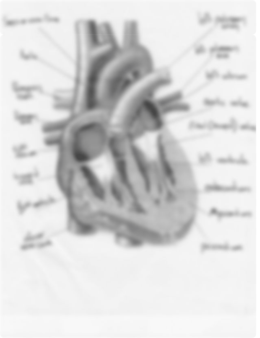 Medical term HW.pdf_drzk0biq22g_page1