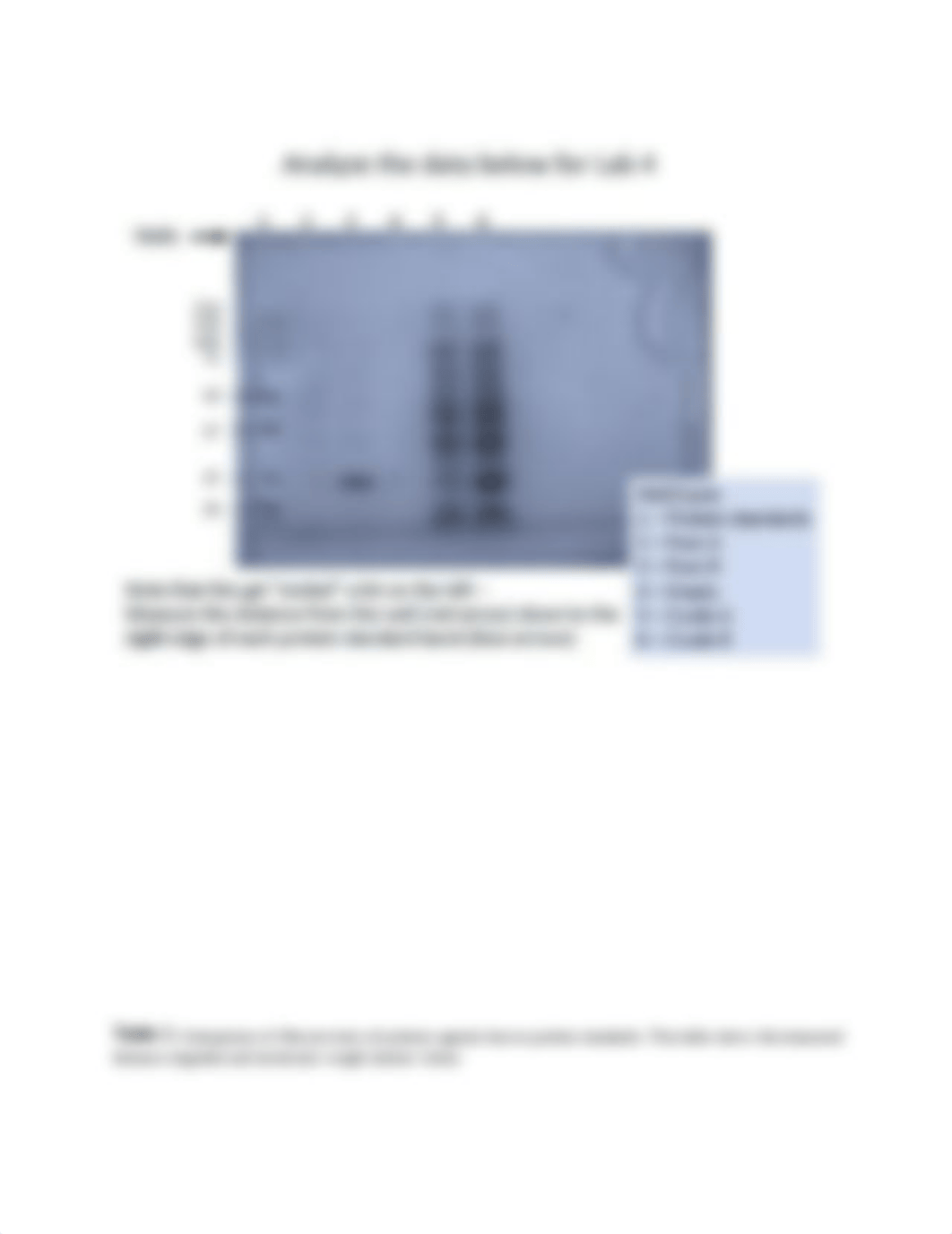 GST  protein expression bio 236.docx_drzmauikdk9_page2