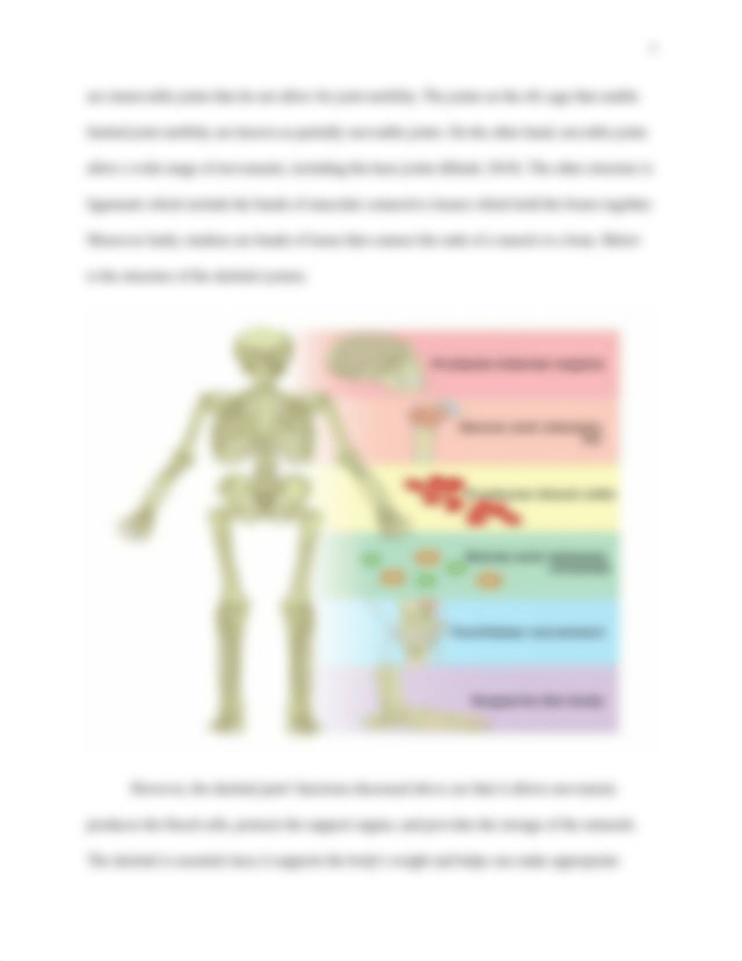 Immune System lab final.pdf_drzr3dhfkdd_page3