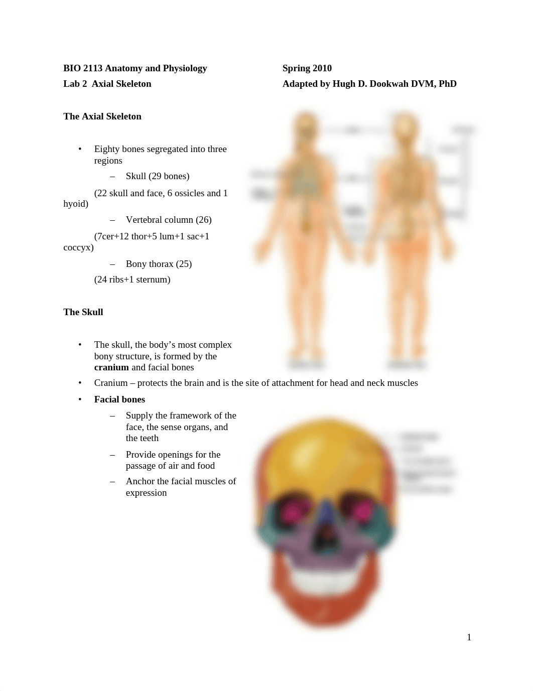 BIO_2113__Lab_2_Axial__skeleton_notes_drzr5ituuom_page1