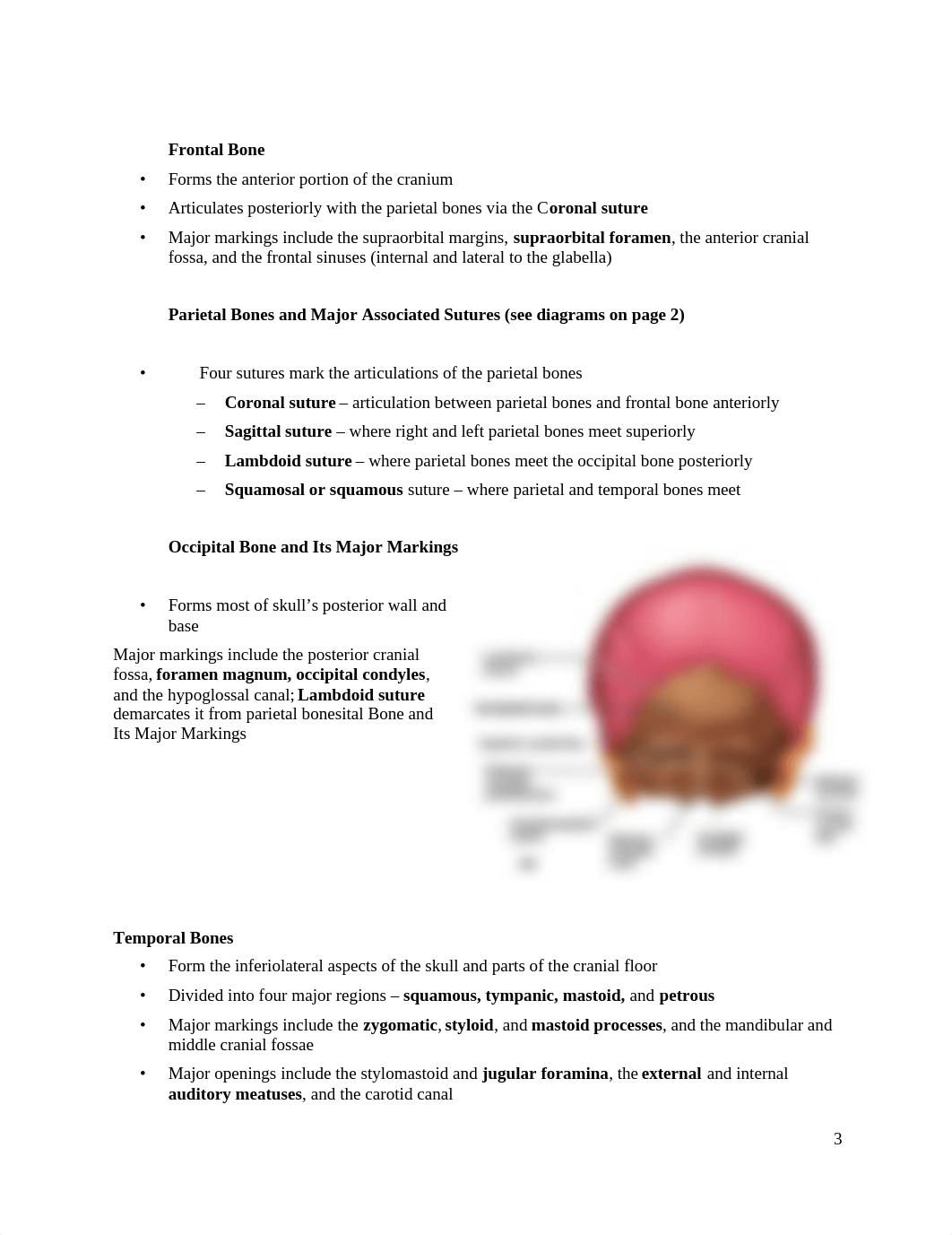 BIO_2113__Lab_2_Axial__skeleton_notes_drzr5ituuom_page3