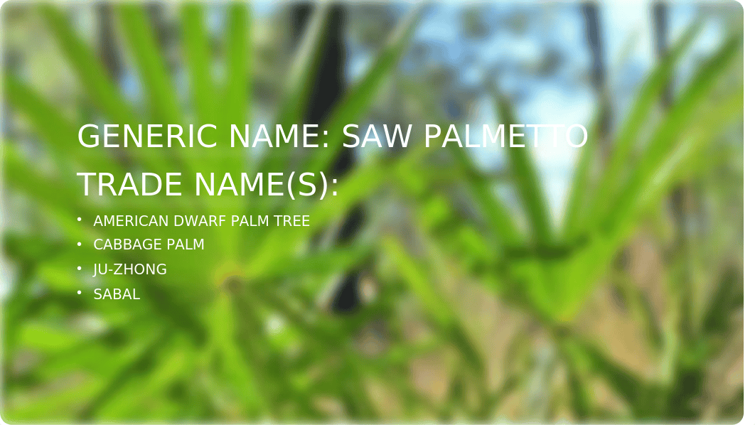 Saw Palmetto.pptx_drztm4entep_page2