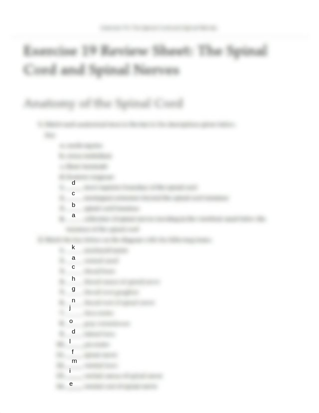 Ex19 Review sheet - The Spinal Cord and Spinal Nerves (1).pdf_drztwgmomhc_page1