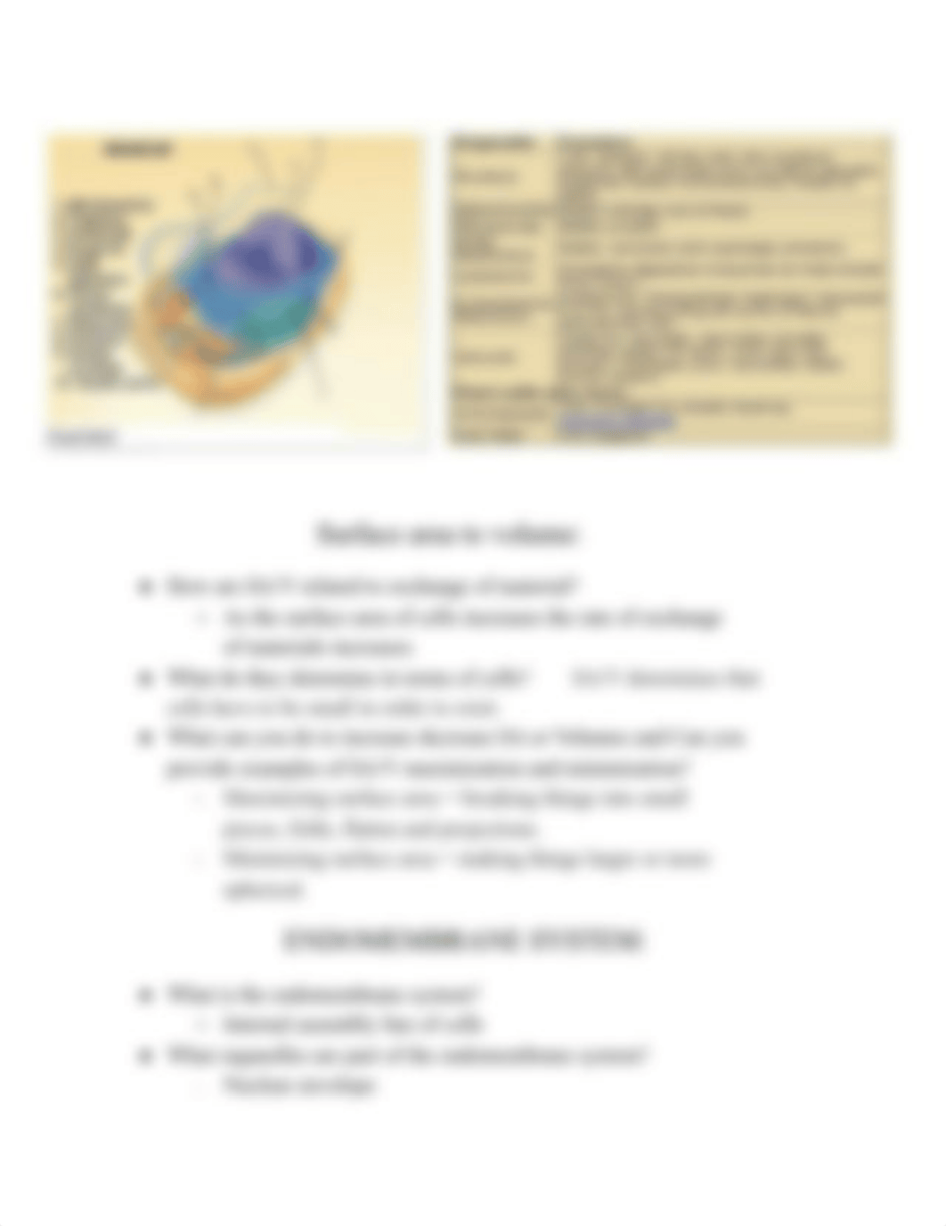 BIO 171 EXAM #2_.pdf_drzws78q8lk_page3