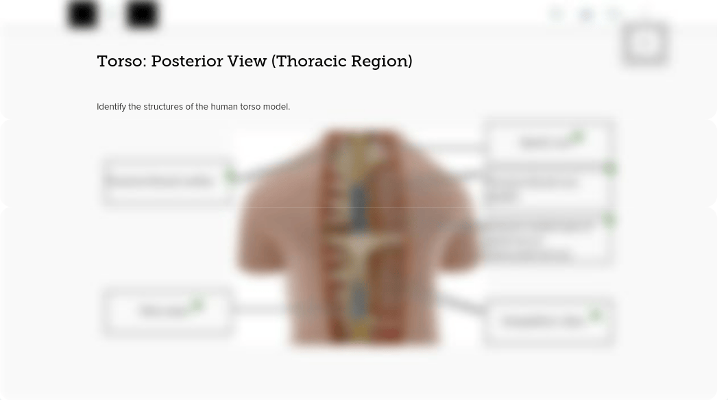 Nervous system 4.pdf_ds0aaho3vaj_page3