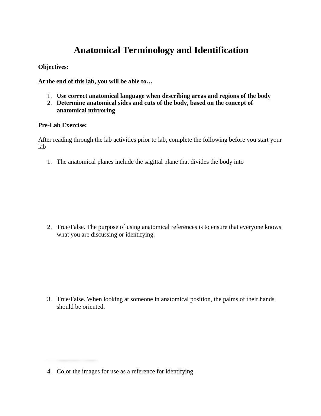 Lab- Anatomical Terminology and Identifications (1) (1).docx_ds0eo394hxv_page1