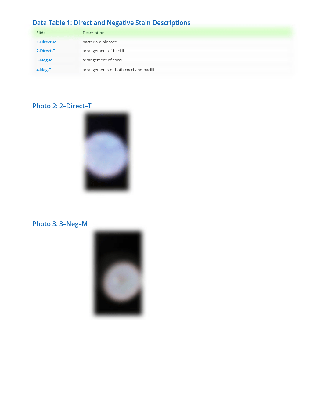 Bacterial Morphology and Staining Techniques - Experimentation report_ds0i03m0k5r_page2