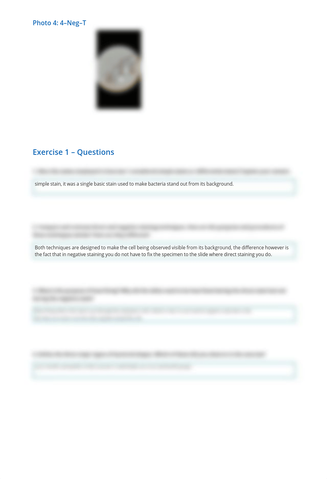 Bacterial Morphology and Staining Techniques - Experimentation report_ds0i03m0k5r_page3